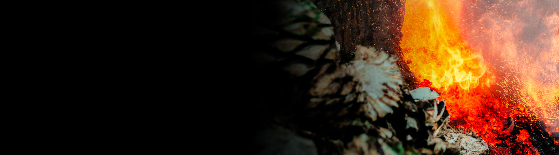 Mezcal